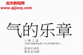 王唯工著气的乐章电子书pdf百度网盘下载学习