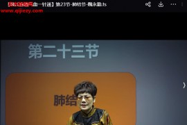 魏永勤魏氏脉道气血一针通视频课程28集百度网盘下载学习