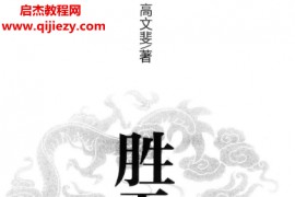 高文斐著胜天半子电子书pdf百度网盘下载学习