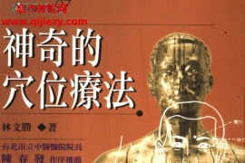 林文胜著神奇的穴位疗法电子书pdf百度网盘下载学习