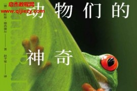 (德)费陀斯德浩谢尔著动物们的神奇感官电子书pdfmobiepub格式百度网盘下载学习