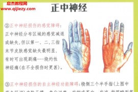 倪老师神经卡压手册电子书pdf165页配套手法视频百度网盘下载学习