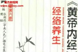 黄帝内经养生全书电子书pdf百度网盘下载学习