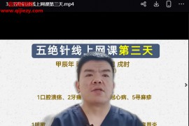 武道甄五绝针法线上网课4天视频课程百度网盘下载学习