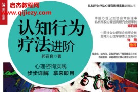郭召良著认知行为疗法进阶电子书pdf百度网盘下载学习