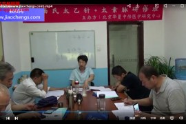 杨亚磊杨氏太乙针针灸治疗各种病症视频课程26集百度网盘下载学习