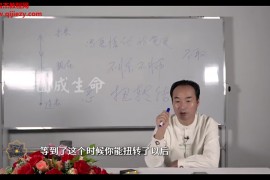 张翔髓脉之乾坤丹法视频课程38集百度网盘下载学习