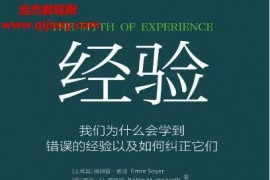 (土)埃姆雷索亚(英)罗宾M霍格斯合著经验电子书pdfmobiepub格式百度网盘下载学习