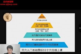 耳穴堂李超高级耳穴百病百讲线上课耳穴疗法百度网盘下载学习