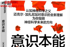 (加)迈克尔加扎尼加著意识本能电子书pdfmobiepub格式百度网盘下载学习