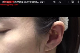 马艳芬耳里藏医一点通视频课程30集百度网盘下载学习