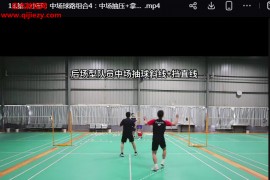 雷羽学堂雷炜亮男双女双进攻战术视频课程34集百度网盘下载学习