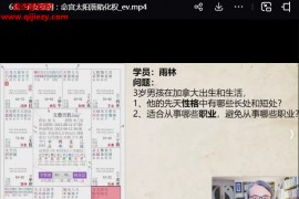 罗镇紫微斗数训练营视频课程65集百度网盘下载学习