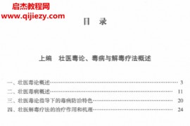 庞宇舟主编壮医解毒七疗术电子书pdf百度网盘下载学习