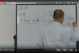 魏晓辉魏氏北斗七星针高级班视频课程64集百度网盘下载学习