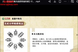 红杏林付子康能量平衡灸线上高级9班视频课程24集百度网盘下载学习