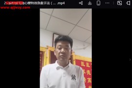 柳邦金柳氏金易疗法(手法+针方+药方+特效治疗)视频课程30集百度网盘下载学习