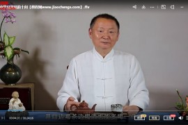 林冶茶道养生:以茶养身以道养心以艺娱人视频课程22集茶道教程百度网盘下载学习