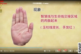 相易盟易手诊初级高级班视频课程合集13集百度云网盘下载学习