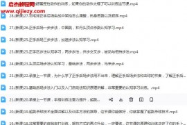 袁正益羽毛球视频课程合集120集袁正益羽毛球步伐反手轻技术杀球发力百度网盘下载学习