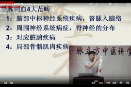 刺血疗法精品视频课程95讲百度网盘下载学习