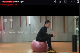 男科好课调阳养生训练内功站桩胎息完整体系视频课程49集百度网盘下载学习