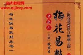 铁书生著全息占梅花易数铁口断修正版上下册电子书pdf百度网盘下载学习