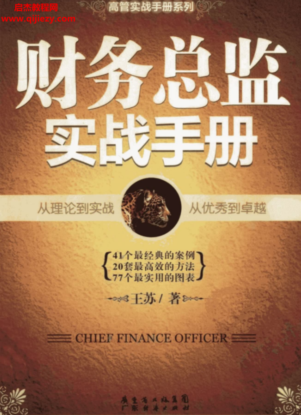 财务总监实战手册.png