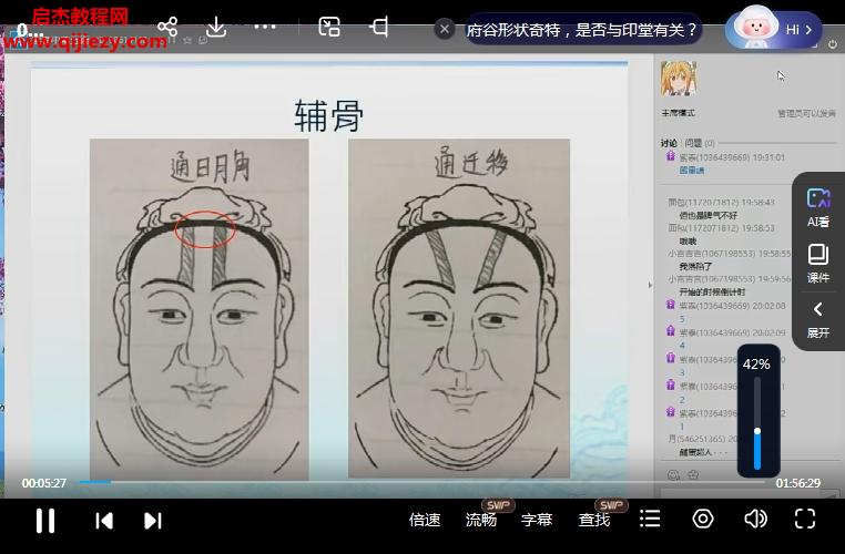 陈紫泰.png