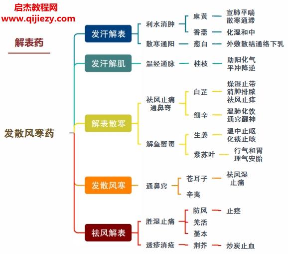 中医考研思维导图.png