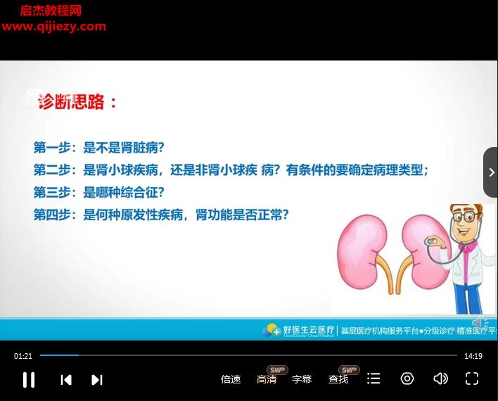 泌尿.png