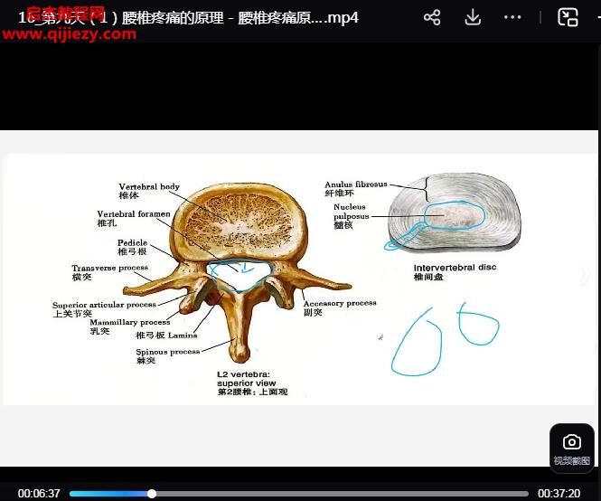 孟令培非遺六壬整脊特訓營視頻課程20集百度網盤下載學習