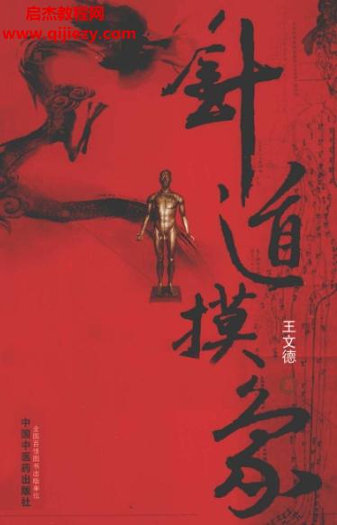 王文德著針道摸象電子書pdf百度網(wǎng)盤下載學(xué)習(xí)