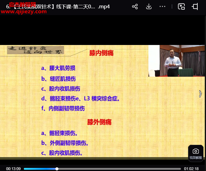 王連彬王氏實戰(zhàn)雙針術(shù)視頻課程43集百度網(wǎng)盤下載學習
