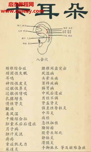 趙雙正夾家耳療法非遺線上視頻課程8章131講百度網(wǎng)盤下載學(xué)習(xí)