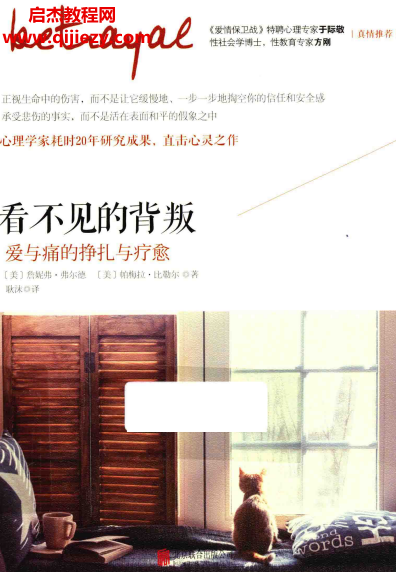 詹妮弗弗爾德著看不見的背叛愛與痛的掙扎與療愈電子書pdf百度網盤下載學習