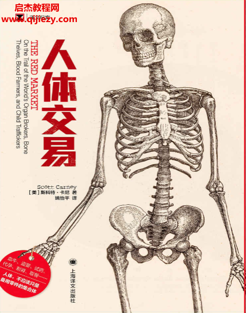 (美)斯科特卡尼著人體交易電子書pdfmobiepub格式百度網盤下載學習