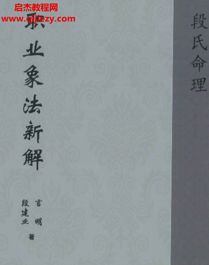 段建業(yè)言明著職業(yè)像法新解電子書pdf百度網盤下載學習