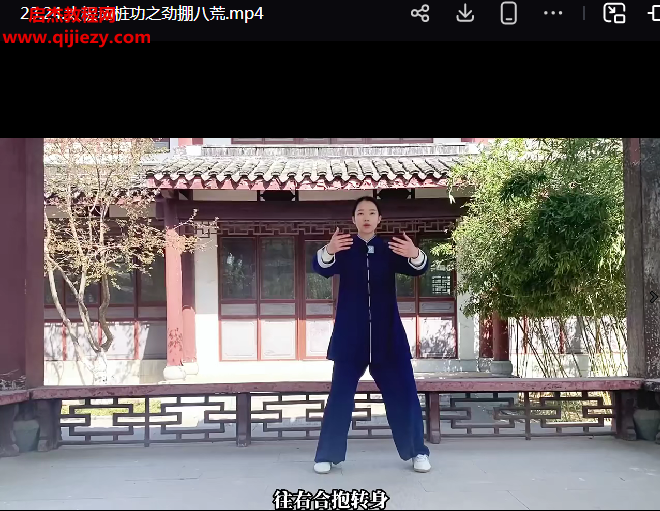 沅芷九轉太極勁教學視頻課程27集百度網盤下載學習