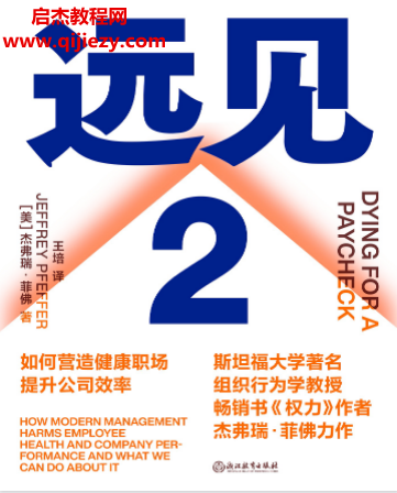 (美)杰弗瑞菲佛著远见2电子书pdfmobiepub格式百度网盘下载学习
