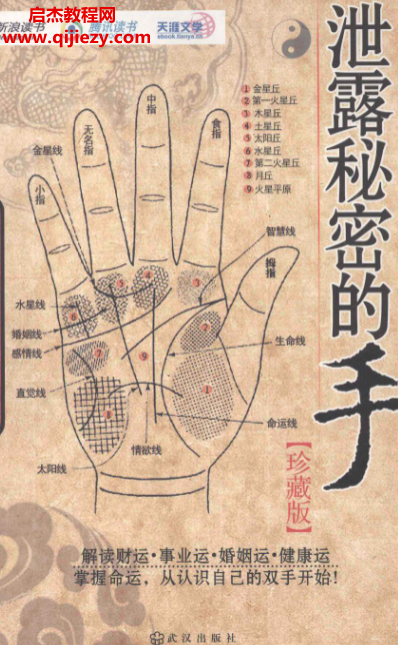 泄露秘密的手珍藏版電子書pdf百度網(wǎng)盤下載學(xué)習(xí)