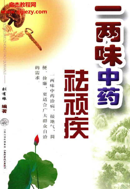 刘有缘著一两味中药祛顽疾电子书pdf百度网盘下载学习