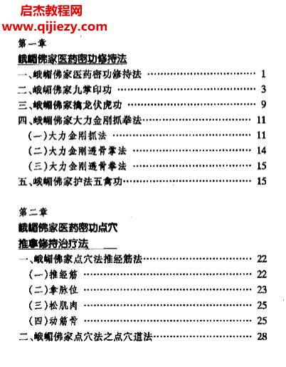 李衛著峨嵋佛家醫藥密功電子書pdf百度網盤下載學習