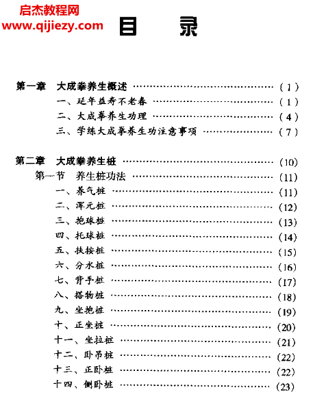 李照山著大成拳養生真傳電子書pdf百度網盤下載學習