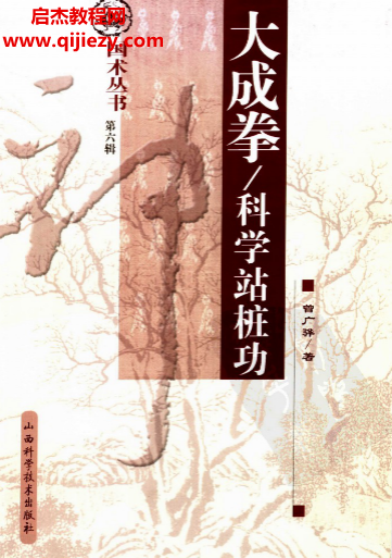 曾廣驊著大成拳科學站樁功電子書pdf百度網盤下載學習