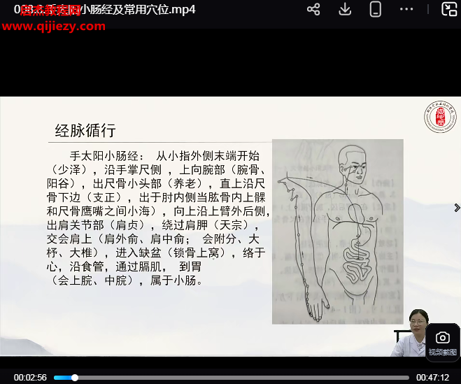 陳沙沙老師主講一針療法高級班視頻課程63集百度網盤下載學習