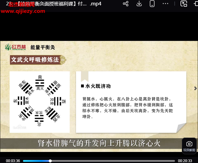 红杏林付子康能量平衡灸线上高级9班视频课程24集百度网盘下载学习