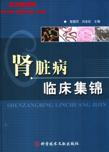 黎磊石劉志紅主編腎臟病臨床集錦電子書pdf百度網盤下載學習