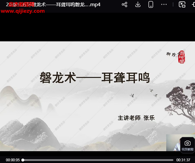 張樂張氏五環磐龍術視頻課程22集百度網盤下載學習