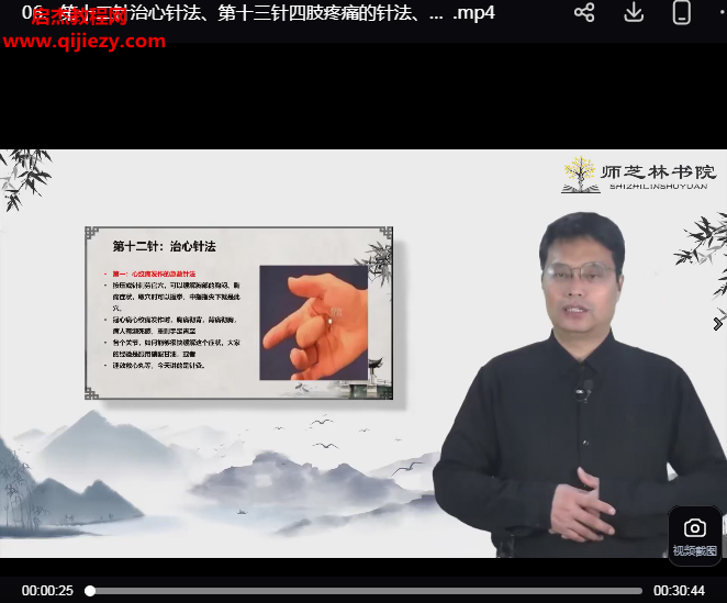 石振强龙武针法视频课程百度网盘下载学习